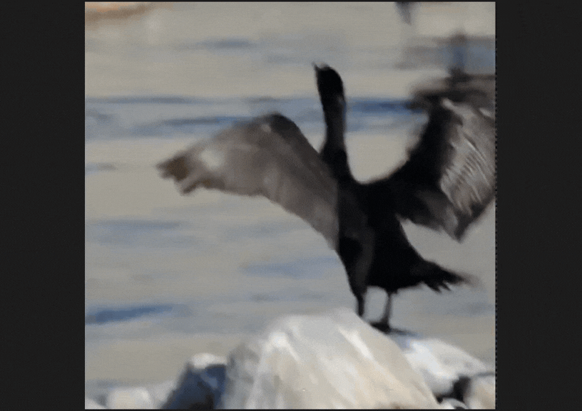 Fujinon - stabilizace off